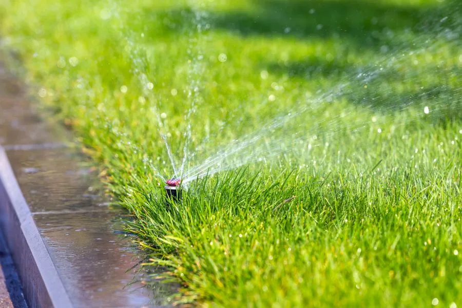 Sprinkler head running during irrigation-zone operation