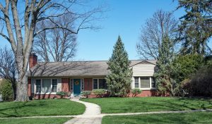 older home with mature trees sewer line inspection
