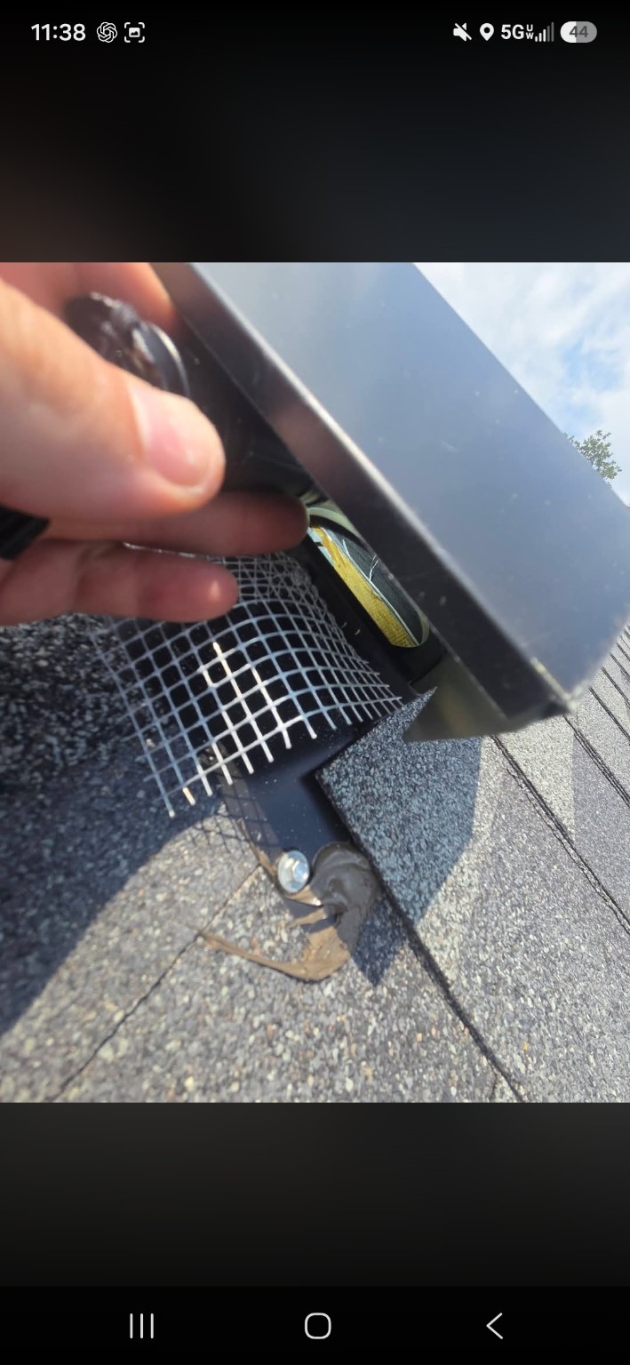 Close view behind the dryer vent cover showing wood across the exhaust opening