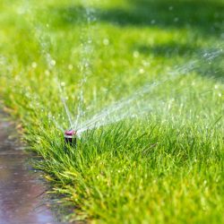 irrigation-system-inspections-leander